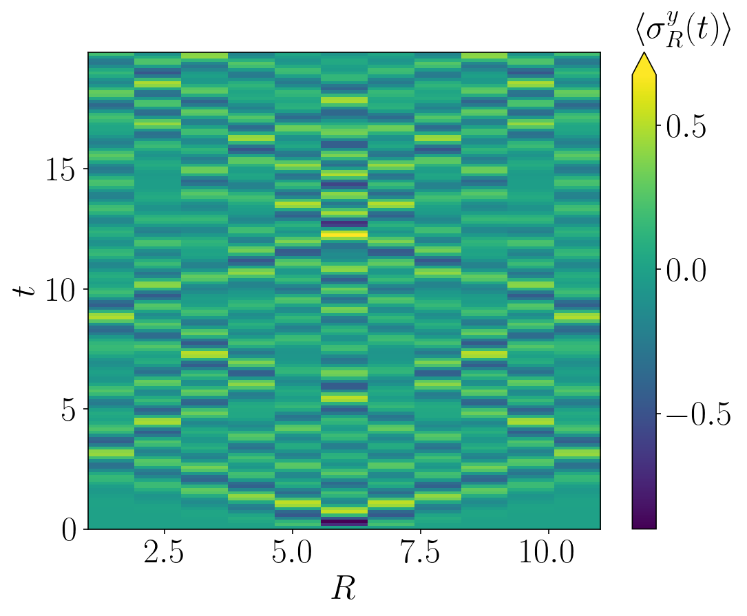 Dynamics of the TFI model.