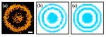 Measuring the Edwards-Anderson order parameter of the Bose glass: A quantum gas microscope approach